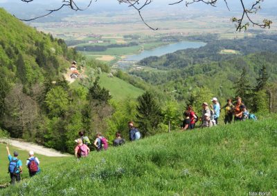 Čez Dobrovlje, 22. april 2018 (foto Borut)