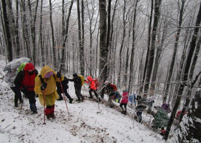 IVANŠČICA (Hrvaška) – 1060m, 6. januar 2019 (foto Lea)