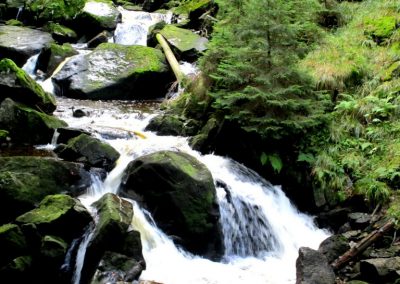 POHORJE: soteska Lobnice – Šumik – Areh, 28. september 2019 (foto Verica)