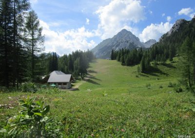 VRTAČA, 3. julij 2021 (foto Lea)