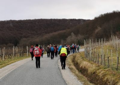 Od Borla do Cirkulan, 20. februar 2022 (foto Janko)